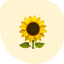 Background (32)