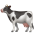 🐄 (1)